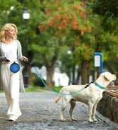 dog Leash for big dogs puppy leash rope