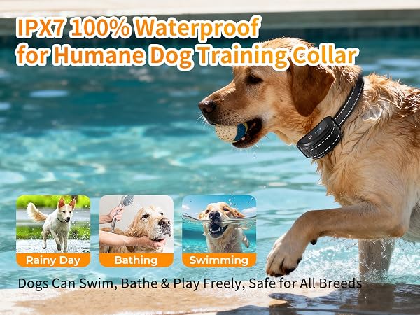 dog training collar with remote 9