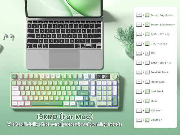 19KRO (For Mac)