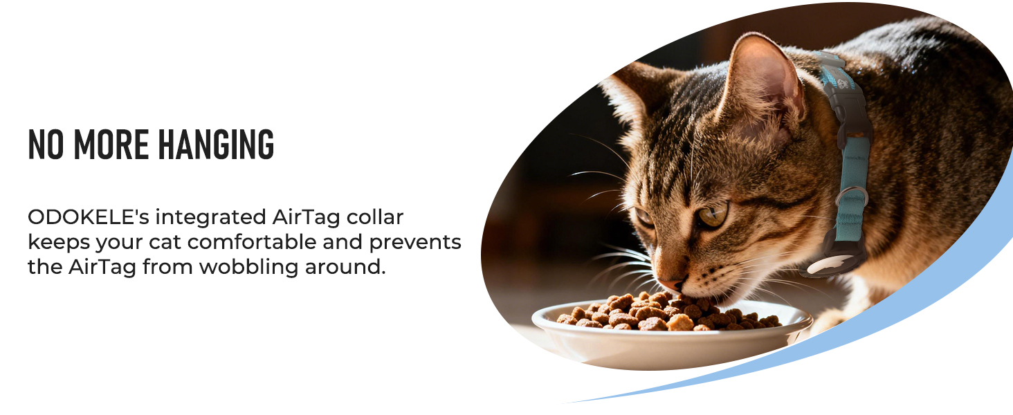 cat collar airtag holder