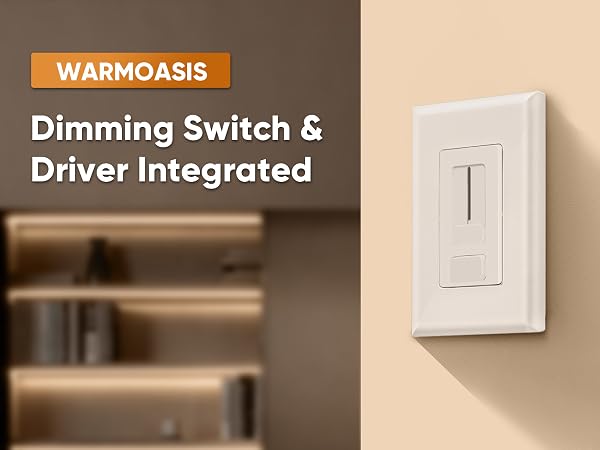 dimmer driver switch