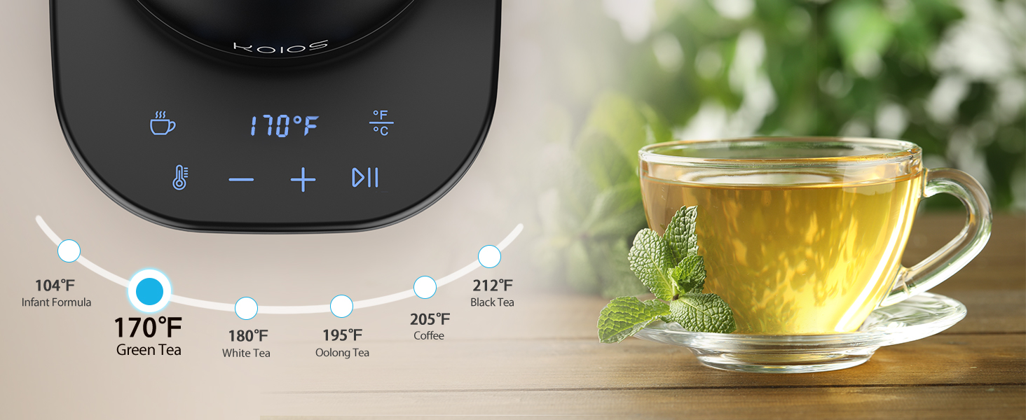 temperature control gooseneck kettle 