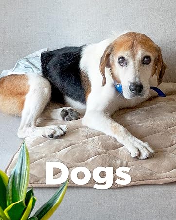 Paw Inspired, Dog Products 