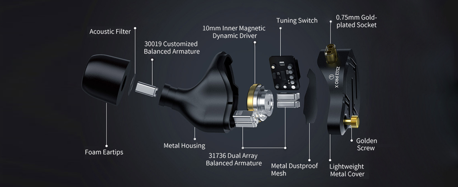 KZ ZS12 PRO X