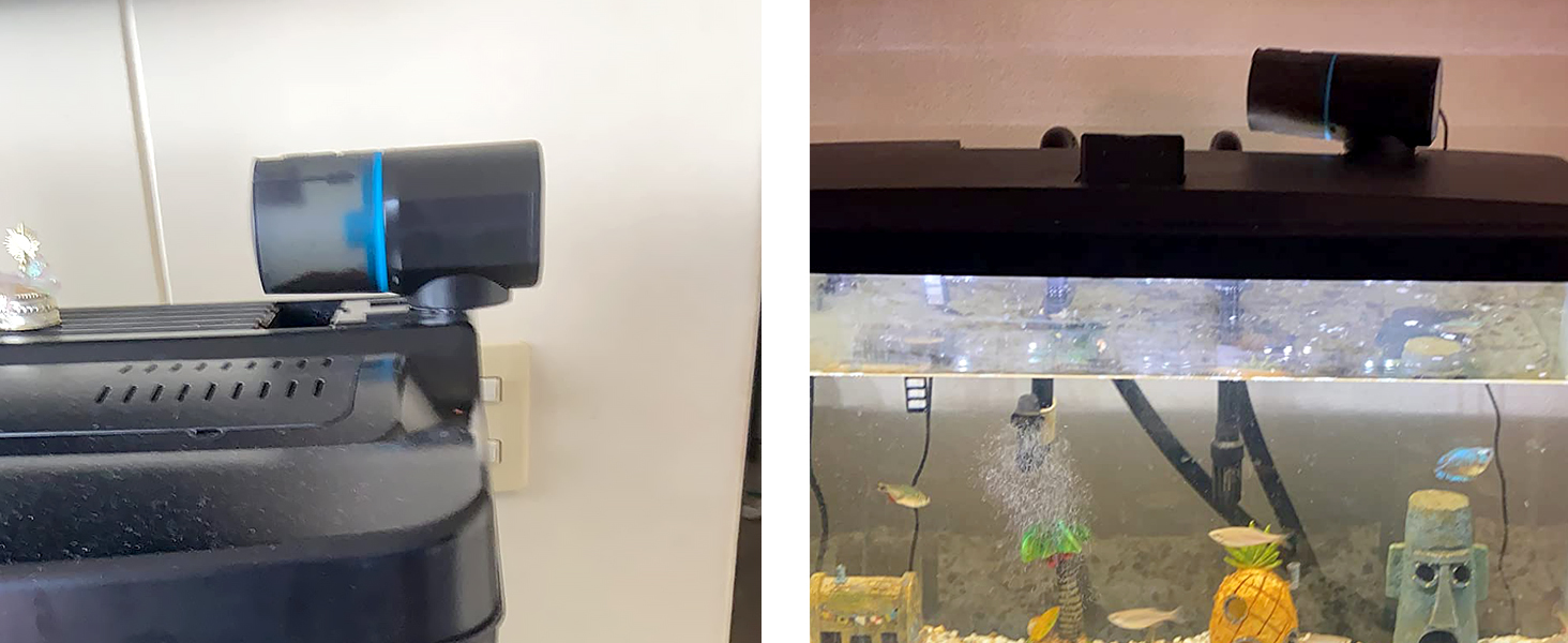 Fish Feeder