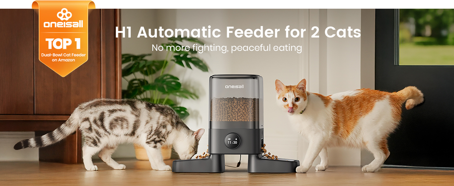 oneisall automatic cat feeder for 2 cats