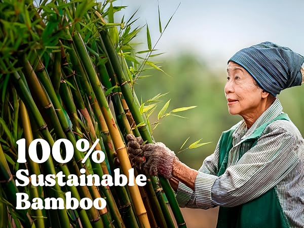 bamboo toilet paper plant organic chemical free pfa eco sustainable bambo natural recycled friendly