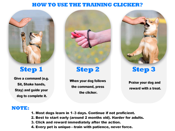 dog training clicker