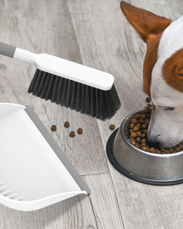Small Dustpan and Brush Set