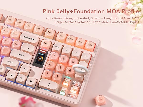 Jelly Foundation MOA Profile