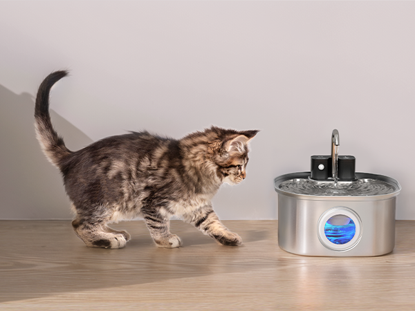 Cat Water Fountain