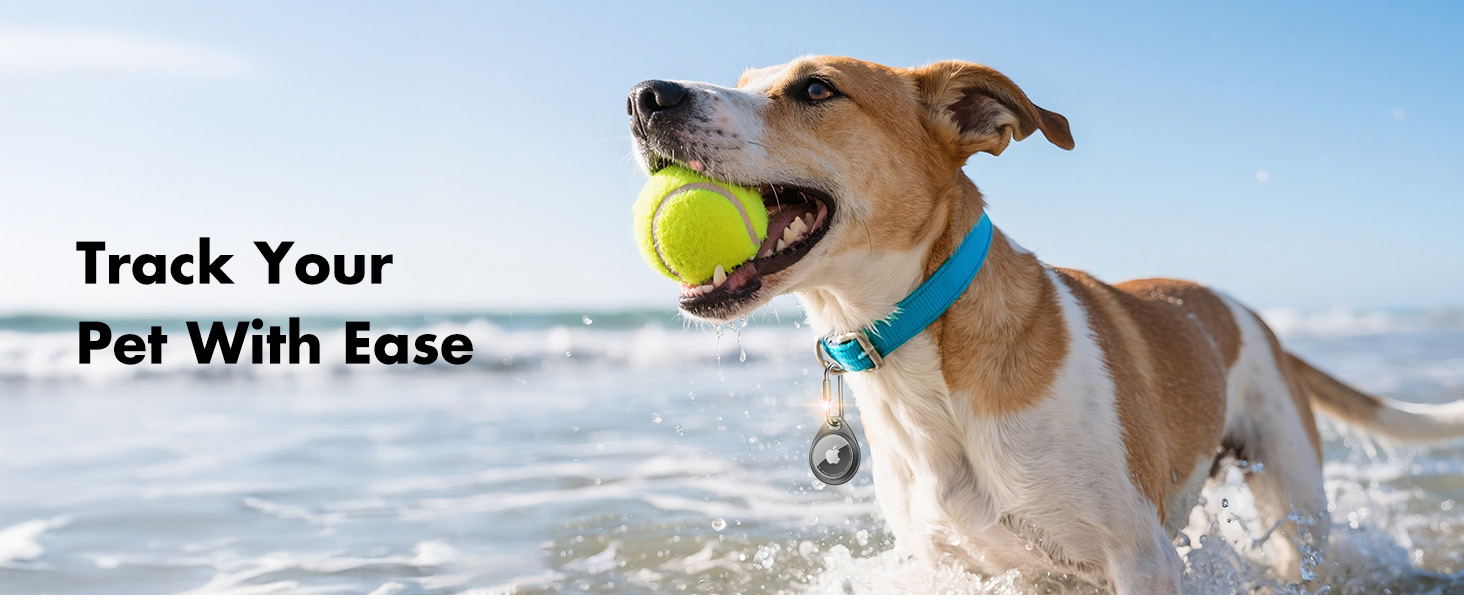 apple air tag. holder keychain