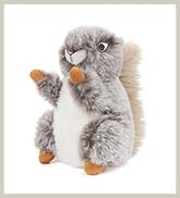 squirrel