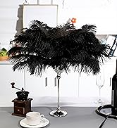 black ostrich feather