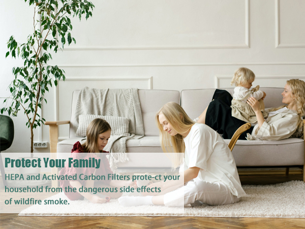 Medify ma22 ftrue hepa filter