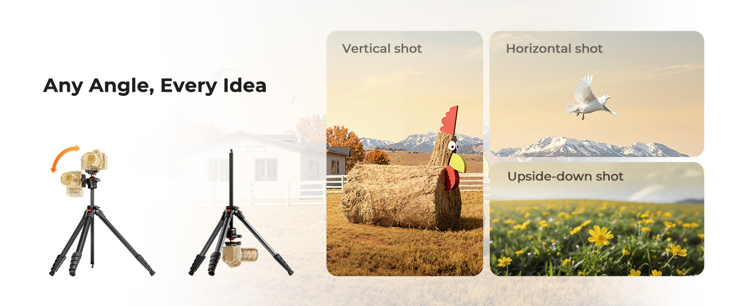 K&amp;amp;amp;F CONCEPT 63&amp;amp;#34; Aluminum Compact Camera Tripod