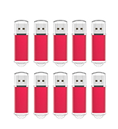 RAOYI 10Pack 1GB 1G USB Flash Drive USB 2.0 Memory Stick Bulk Thumb Drive Pen Drive Blue