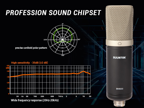 professional mic