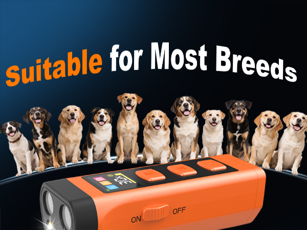 Dog Bark Deterrent Device