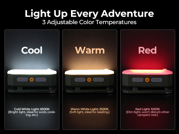AL01 AREA LIGHT