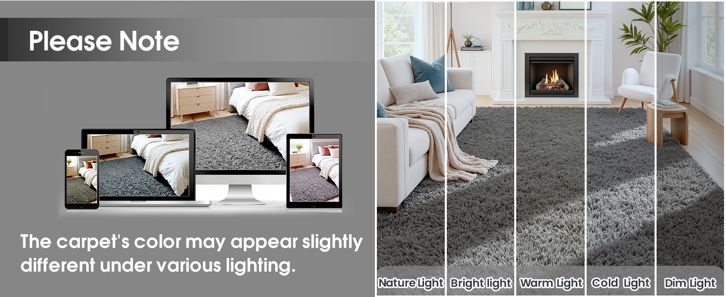Area Rugs for Living Room