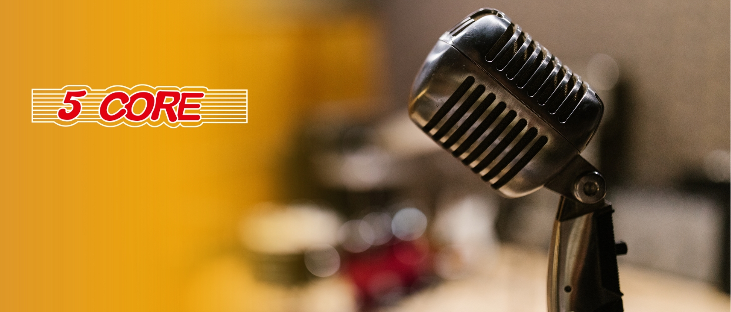 5 CORE Retro Dynamic Classic Vocal Microphone Old Vintage Style Cardioid Unidirectional Wired Mic wi...