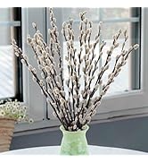 Oning 20 Stems Real Dried Pussywillow Preserved Greenery Branches for Vase- Natural Pussywillows ...