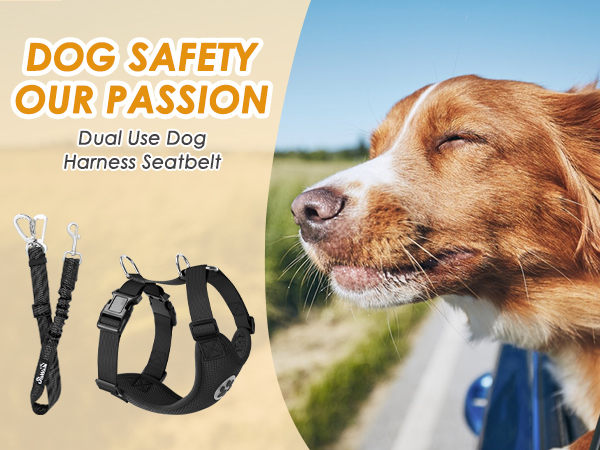 dog harness seatbelt