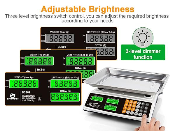 Commercial food scale