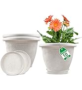 Plastic Flower Pots Planters for Indoor Plants, 3 Pack 10 Inch White Plant Pots with Drainage Hol...