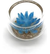 Tiosen Blue Miniature Potted Plant, Artificial Plant Decor for Micro Landscape for Micro Landscap...
