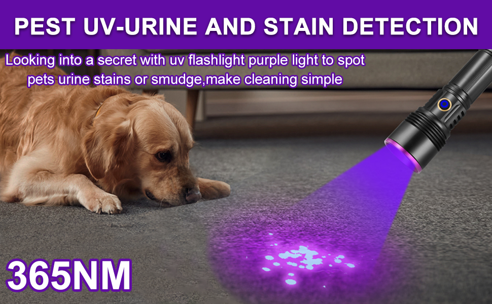 365nm UV Flashlight Blacklight