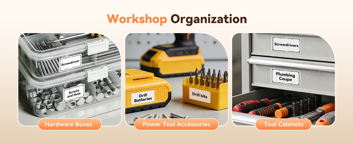 Workshop Organization