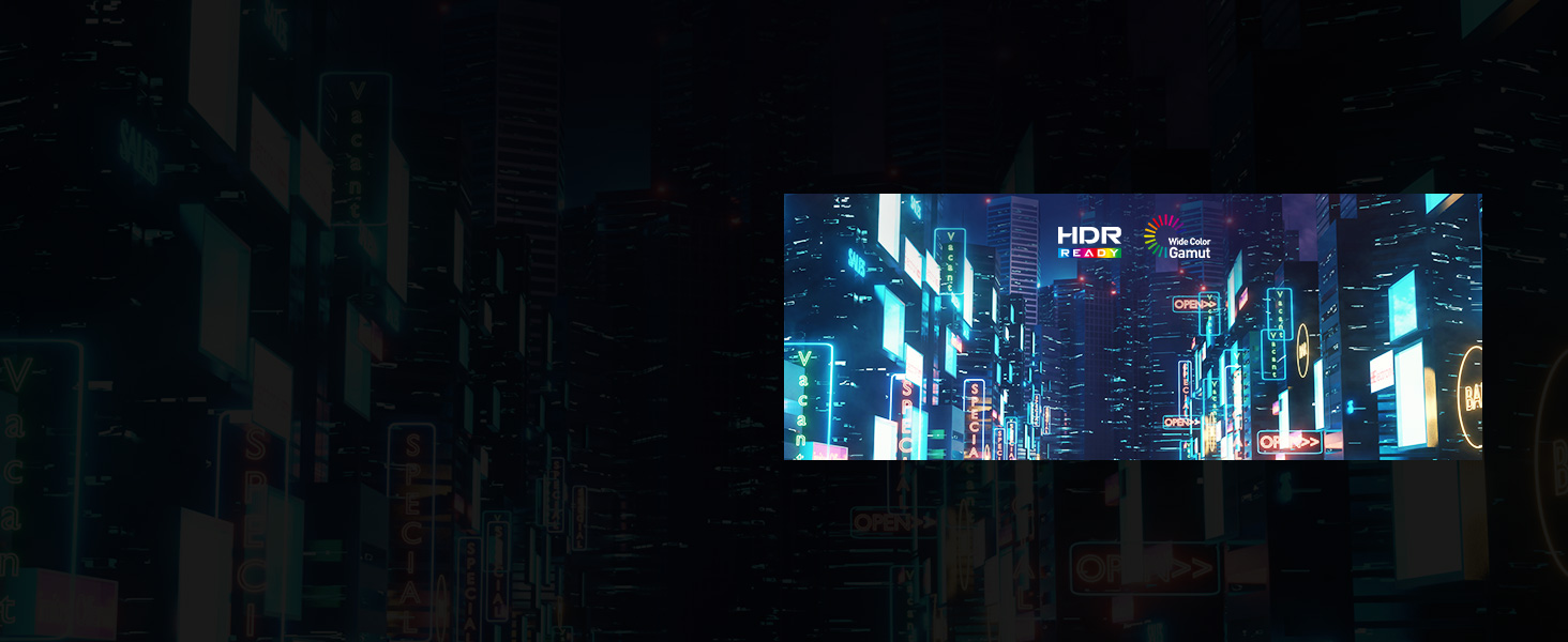 Most Vivid Display (HDR Ready)