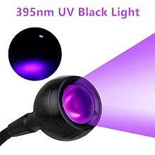 UV 395nm