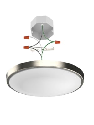 Ring junction box render