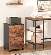 2 Drawer File Cabinet, Mobile Printer Stand, Rolling Office Cabinet with 5 Wheels