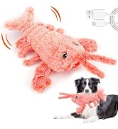 Mity rain Interactive Lobster Dog Toy | Keeps Small, Medium &amp; Large Dogs Busy Indoors &amp; Outdoors ...