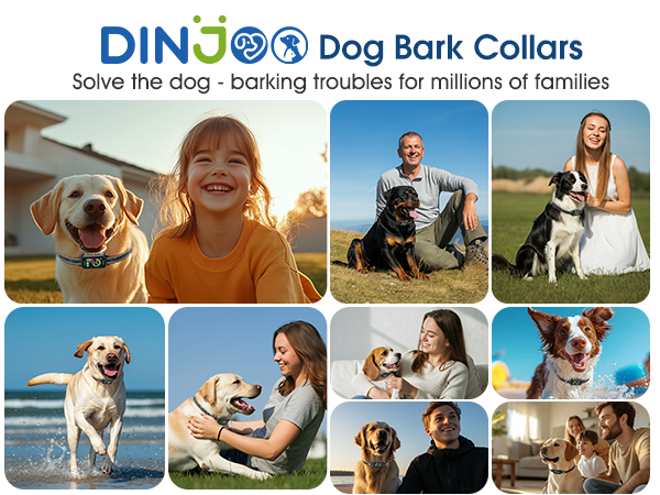 best small dog bark collar
