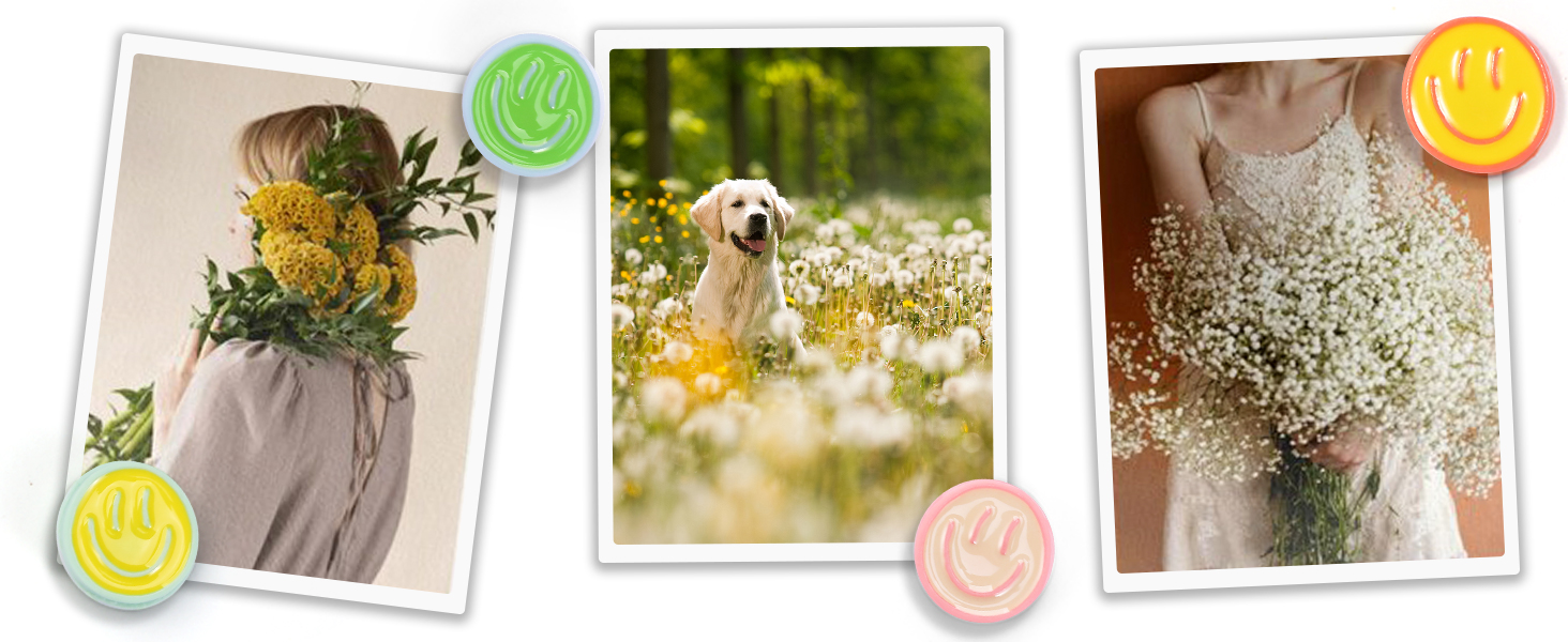 thumb tacks for wall