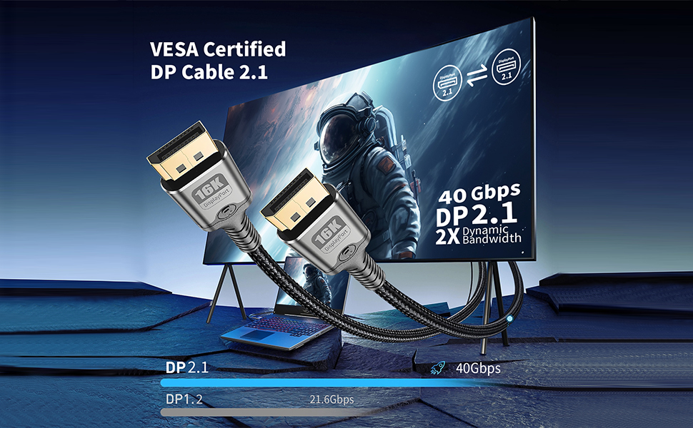 DisplayPort Cable 2.1