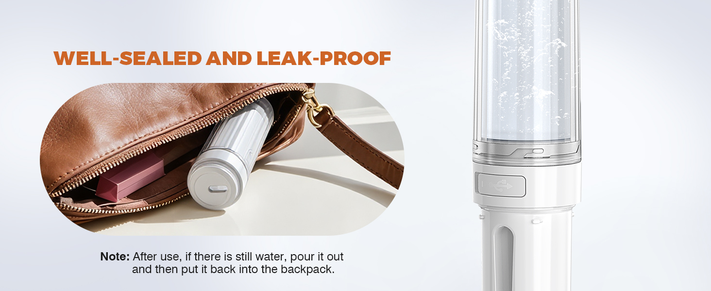 portable bidet for toilet