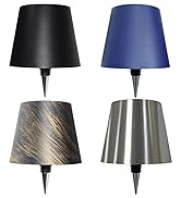 Pridola Wireless Bottle Lamp-Wine Bottle Lights with Touch Dimming, 3 Color Temperatures Table La...