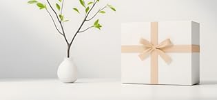 https://m.media-amazon.com/images/S/aplus-media-library-service-media/8fbe3af6-b68d-448a-8505-27b3fe5e8746.__CR0,174,600,276_PT0_SX315_V1___.jpg