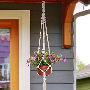 plant hanger indoor