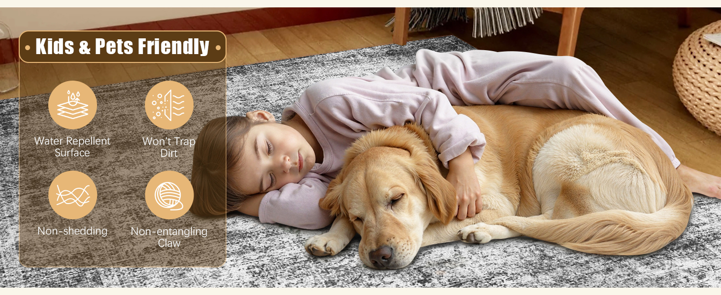 HIRUG Washable Area Rug