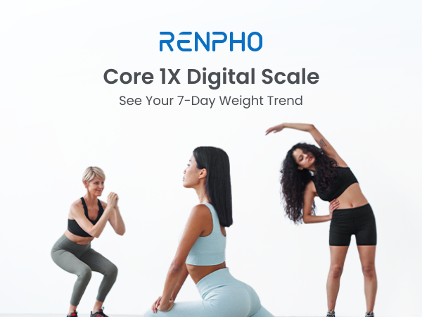scale