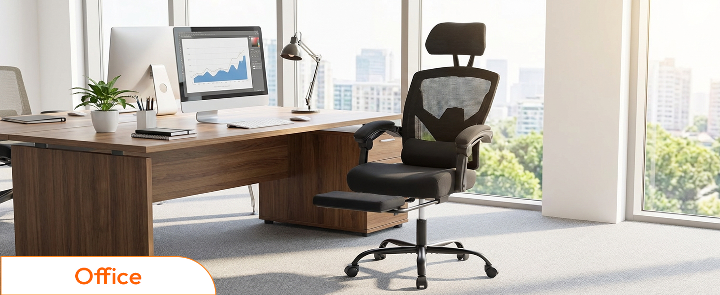 Computer Chair with Lumbar Support