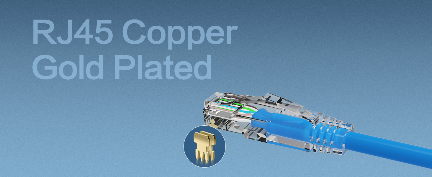 Patch Panel to Switch