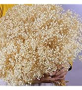6500+ Large Dried Baby's Breath Flowers Bouquet - Upgraded Package Bulk Cream White Baby Breath(7...